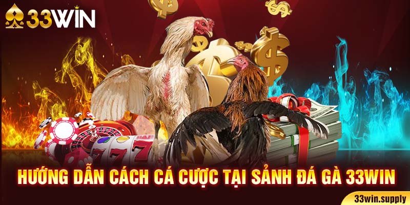 Hướng dẫn cách cá cược tại sảnh đá gà 33win