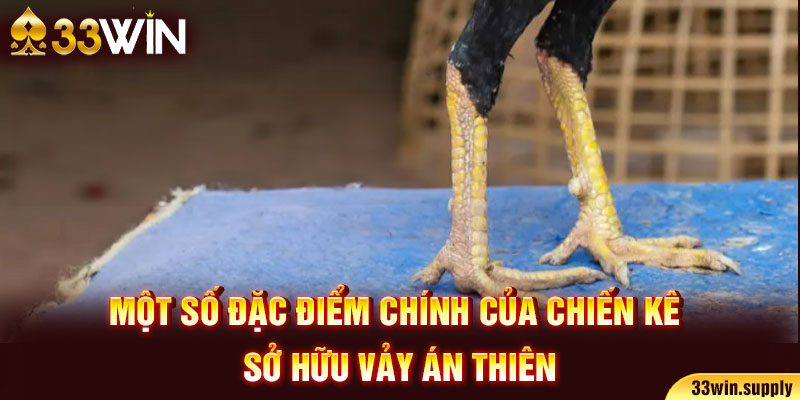 Một số đặc điểm chính của chiến kê sở hữu vảy án thiên