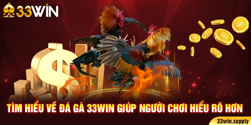 Tìm hiểu về đá gà 33win giúp người chơi hiểu rõ hơn