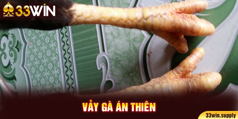 vảy gà án thiên
