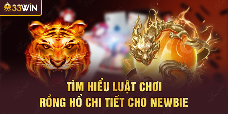 Tìm hiểu luật chơi rồng hổ chi tiết cho newbie