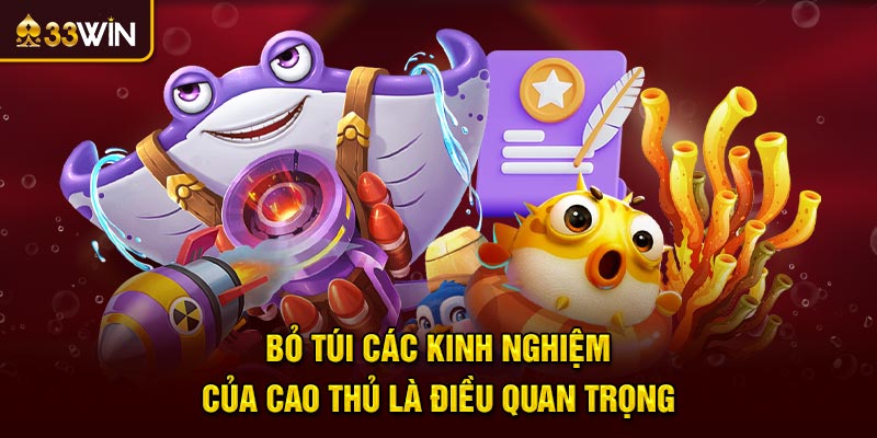 Bỏ túi các kinh nghiệm của cao thủ là điều quan trọng