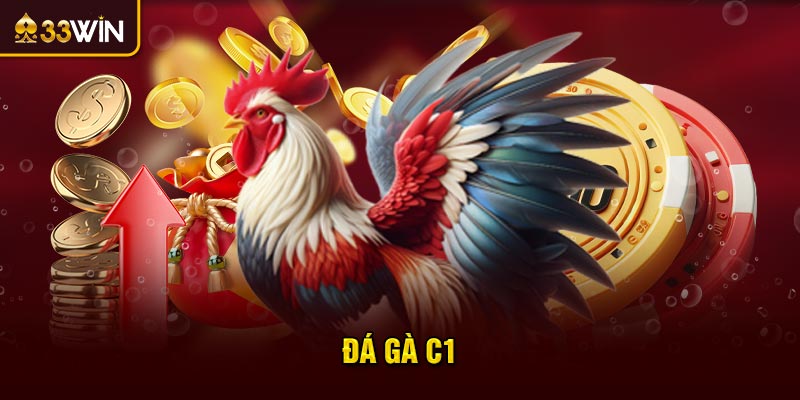 đá gà c1