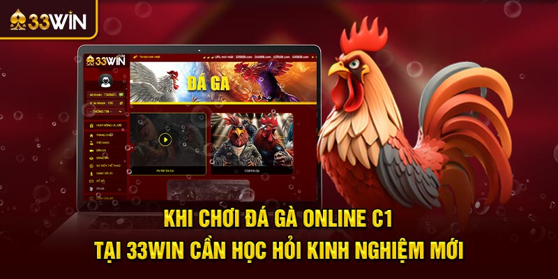 Khi chơi đá gà online C1 tại 33win cần học hỏi kinh nghiệm mới