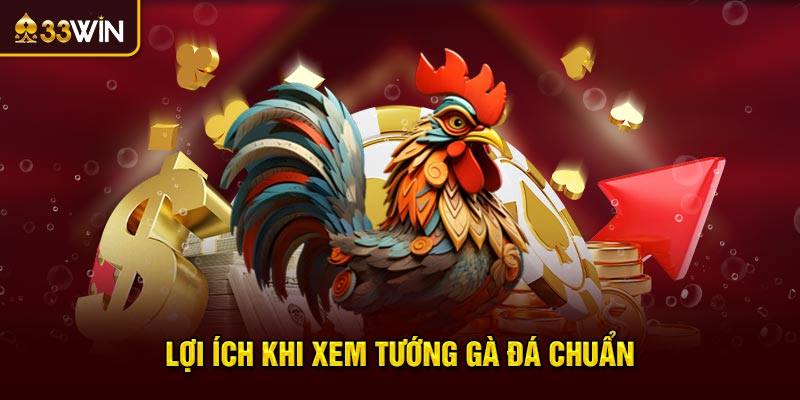Lợi ích khi xem tướng gà đá chuẩn
