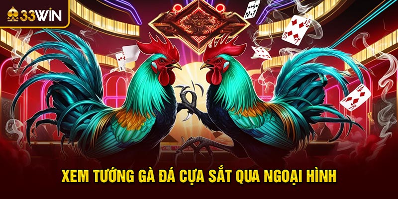 Xem tướng gà đá cựa sắt qua ngoại hình